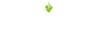 VALE DOURO® Site Officiel – Huile d'Olive