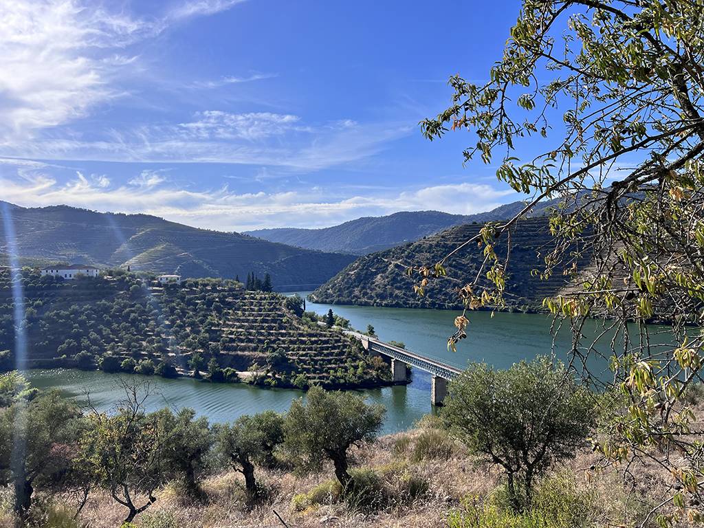 VALE DOURO - Arnozelo